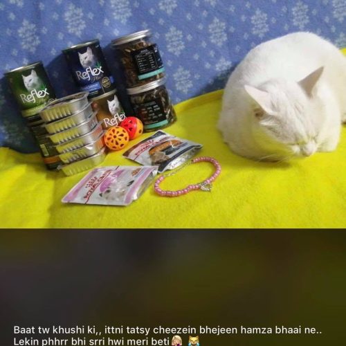 Brit Premium Cat Pouches