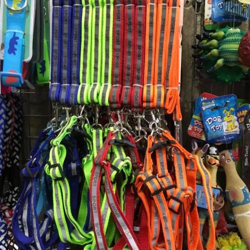 Collars, Leashes & Harnesses