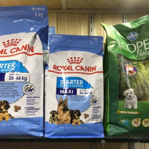 Royal Canin Maxi Starter & Maxi Adult